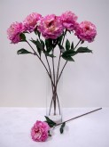 30.5” Single Peony