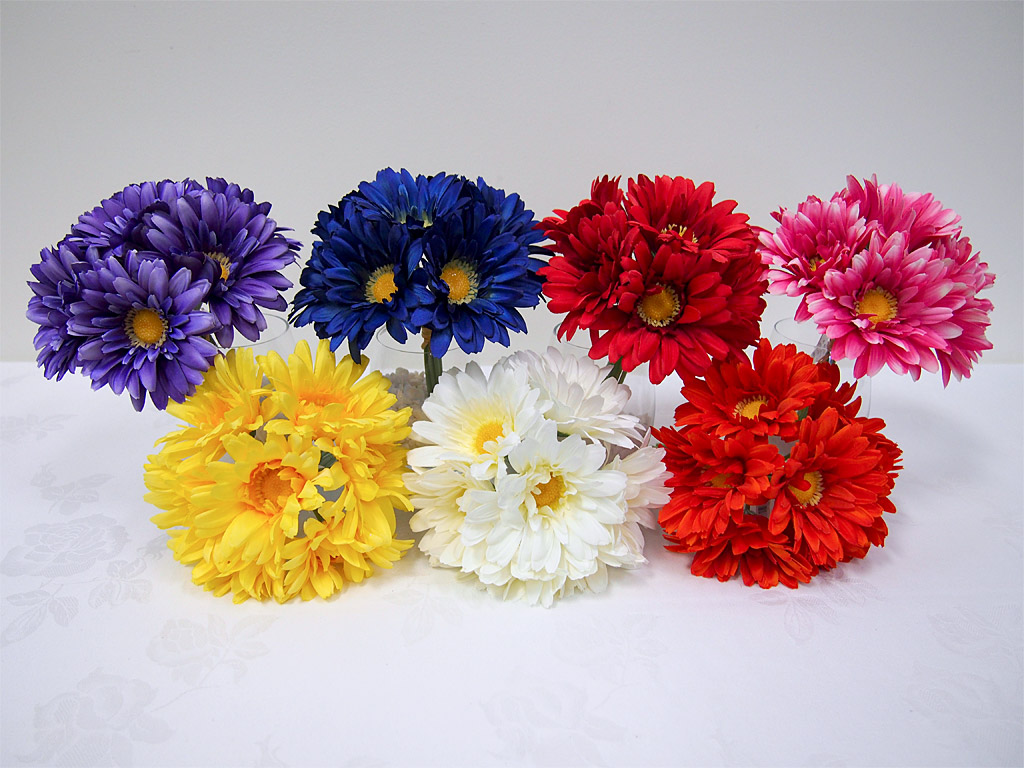 Gerbera Daisy Bundle x 7 Flrs