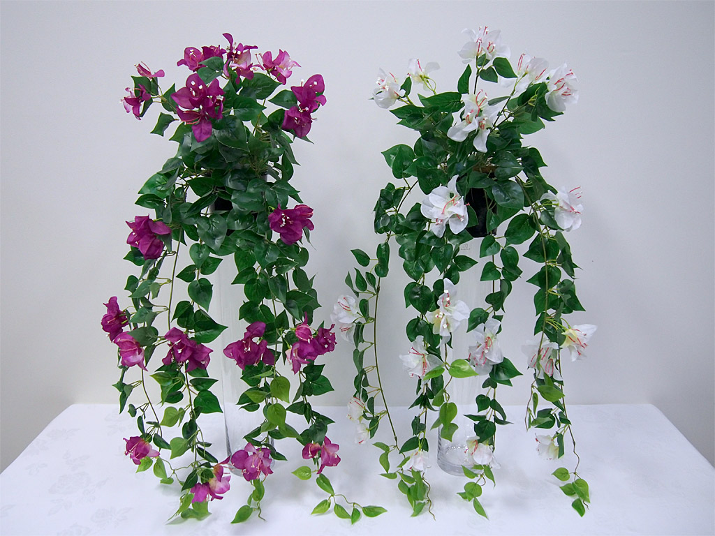 32” Bougainvillea Hanging Bush